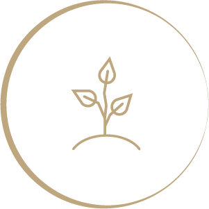 FLRS JB Pikto Baum 03 FLRS JB Pikto Baum 03